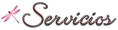 servicios2